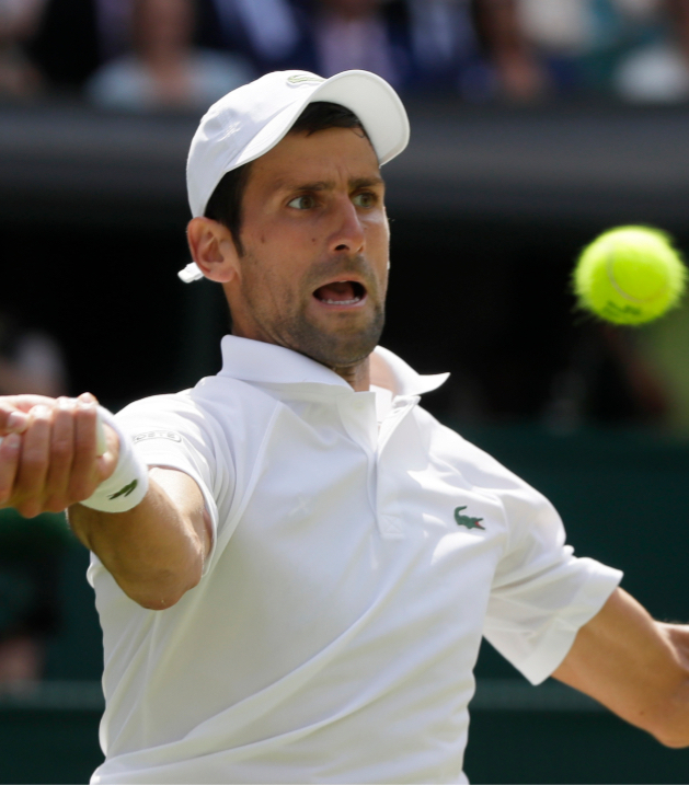 Djokovic Wimbledon Tennis Picks 